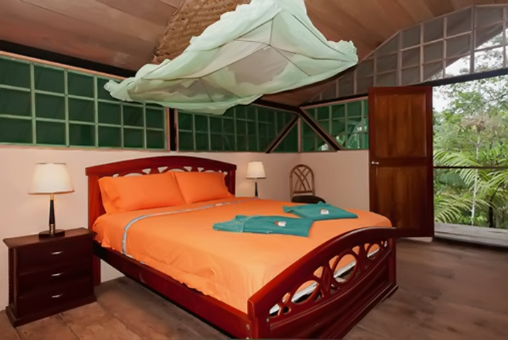 Tapir Ceiba room