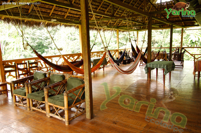 yarina lodge