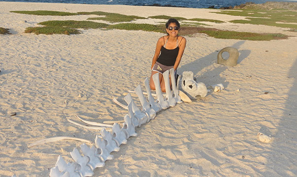 Mosquera_whale