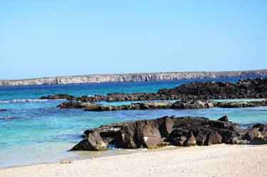 beach Genovesa