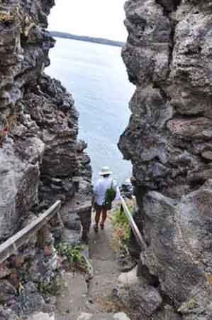 Genovesa trail