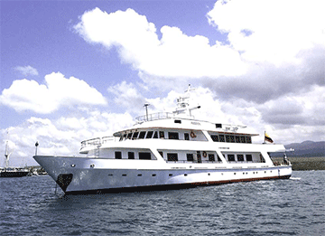 Passion portside