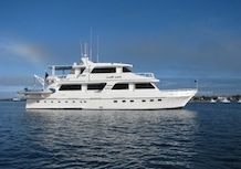 Aida Maria Starboard
