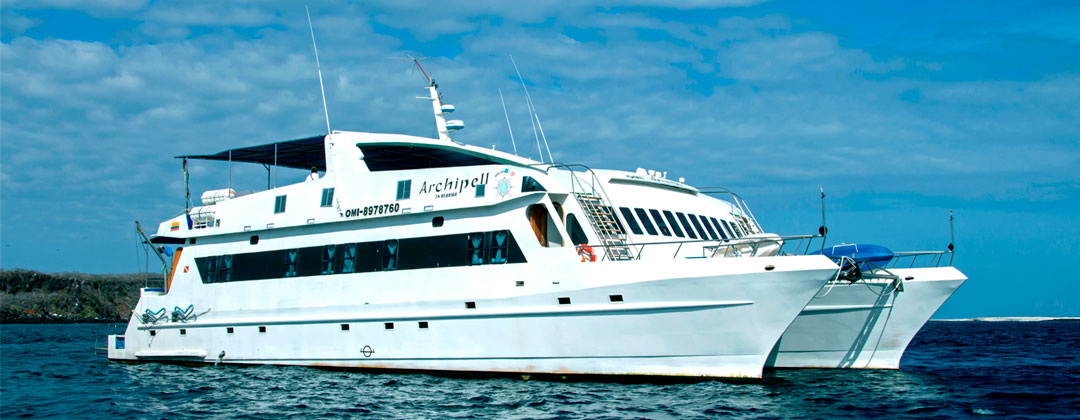 Archipell Starboard profile