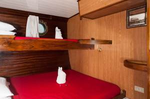 beagle cabin