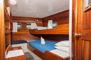 Cabin Beagle