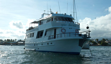 Darwin at anchor