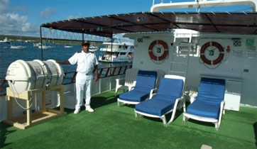 Sundeck Darwin