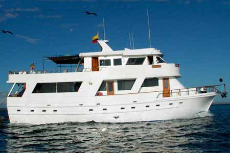 Darwin Yacht