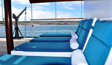 Eden Sundeck