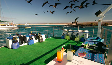Sundeck Floreana