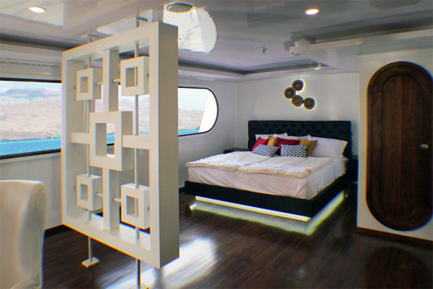 suite petrel