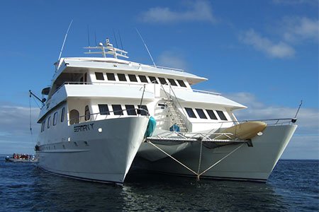 Seaman Journey bow