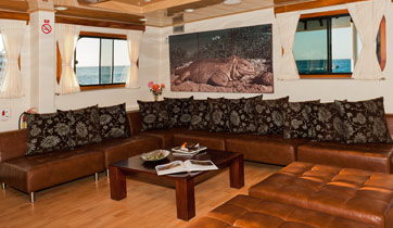 Lounge Seaman