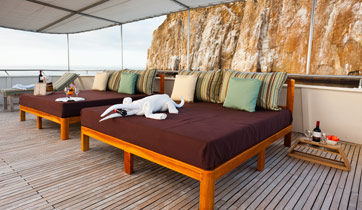 Sundeck Seaman